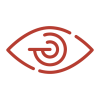 vision